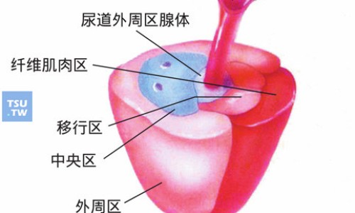 颈动脉斑块药物选择-颈动脉斑块用药剂量网-分享颈动脉斑块用药能消除吗，颈动脉斑块药物选择知识库
